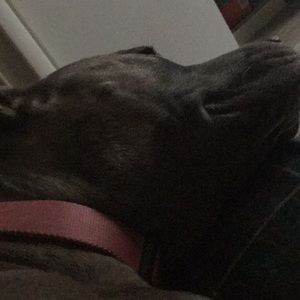 Meet your Posher, Kieran